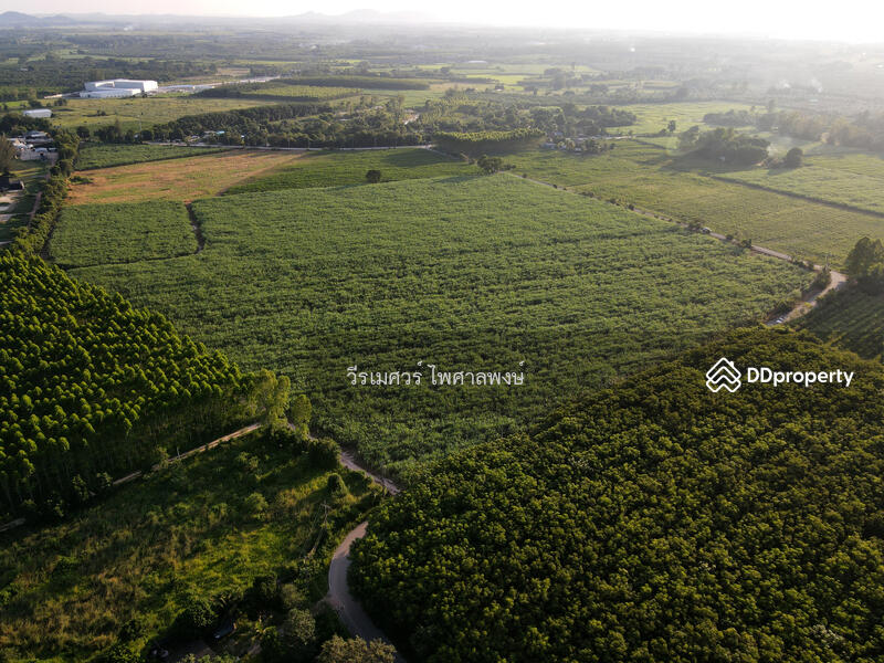 ขายที่ดิน EEC สร้างโรงงาน—ถนน 331 จ.ชลบุรี (Zone พัฒนาอุตสาหกรรม) 95-1-30 ไร่