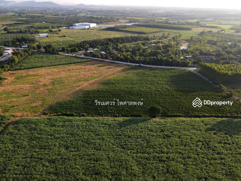 ขายที่ดิน EEC สร้างโรงงาน—ถนน 331 จ.ชลบุรี (Zone พัฒนาอุตสาหกรรม) 95-1-30 ไร่