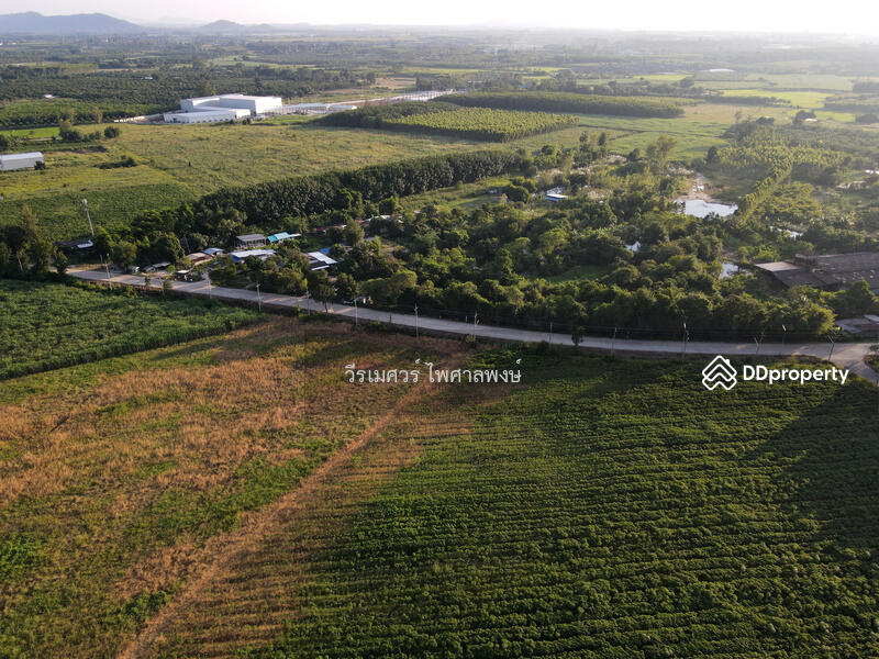 ขายที่ดิน EEC สร้างโรงงาน—ถนน 331 จ.ชลบุรี (Zone พัฒนาอุตสาหกรรม) 95-1-30 ไร่
