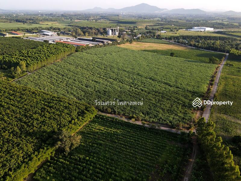 ขายที่ดิน EEC สร้างโรงงาน—ถนน 331 จ.ชลบุรี (Zone พัฒนาอุตสาหกรรม) 95-1-30 ไร่ 