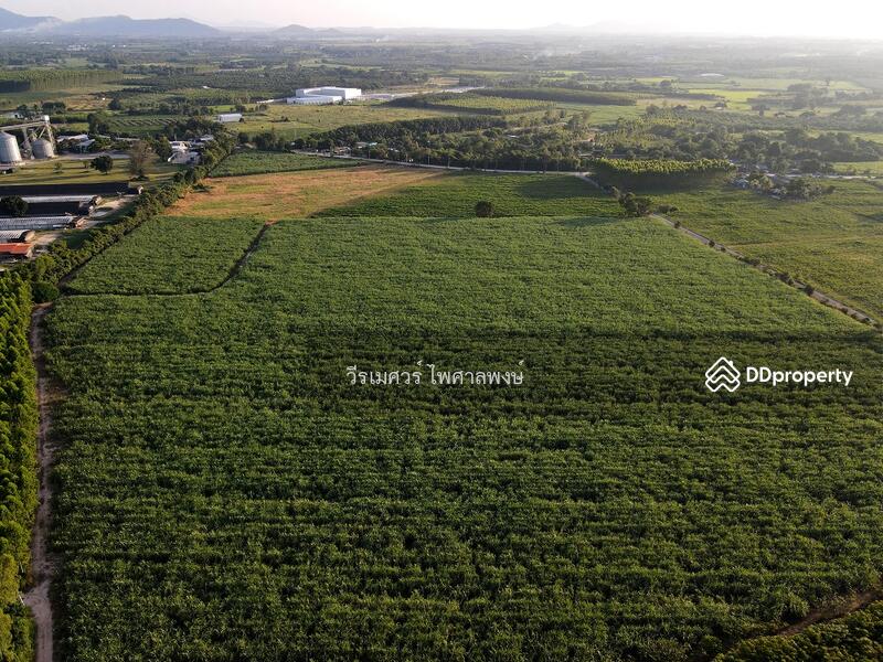 ขายที่ดิน EEC สร้างโรงงาน—ถนน 331 จ.ชลบุรี (Zone พัฒนาอุตสาหกรรม) 95-1-30 ไร่ 