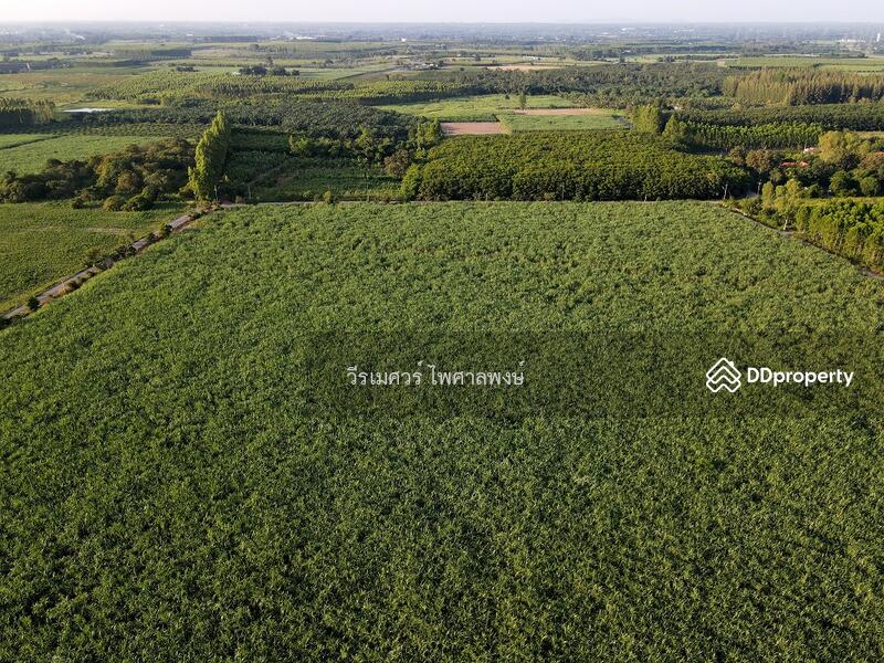 ขายที่ดิน EEC สร้างโรงงาน—ถนน 331 จ.ชลบุรี (Zone พัฒนาอุตสาหกรรม) 95-1-30 ไร่ 