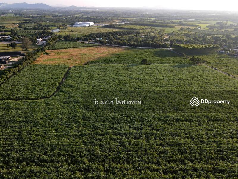 ขายที่ดิน EEC สร้างโรงงาน—ถนน 331 จ.ชลบุรี (Zone พัฒนาอุตสาหกรรม) 95-1-30 ไร่