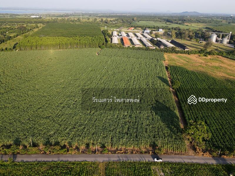 ขายที่ดิน EEC สร้างโรงงาน—ถนน 331 จ.ชลบุรี (Zone พัฒนาอุตสาหกรรม) 95-1-30 ไร่