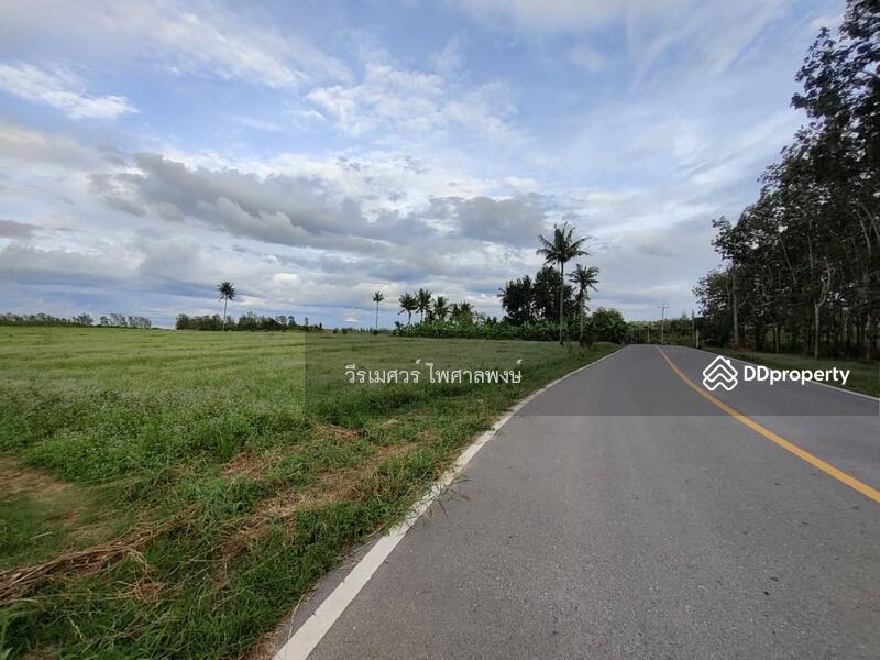 ขายที่ดิน EEC สร้างโรงงาน—ถนน 344 จ.ชลบุรี (Zone พัฒนาอุตสาหกรรม) 51-2-73 ไร่ 