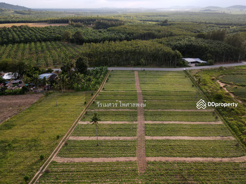 ขายที่ดิน EEC สร้างโรงงาน—ถนน 344 จ.ชลบุรี (Zone พัฒนาอุตสาหกรรม) 51-2-73 ไร่ 
