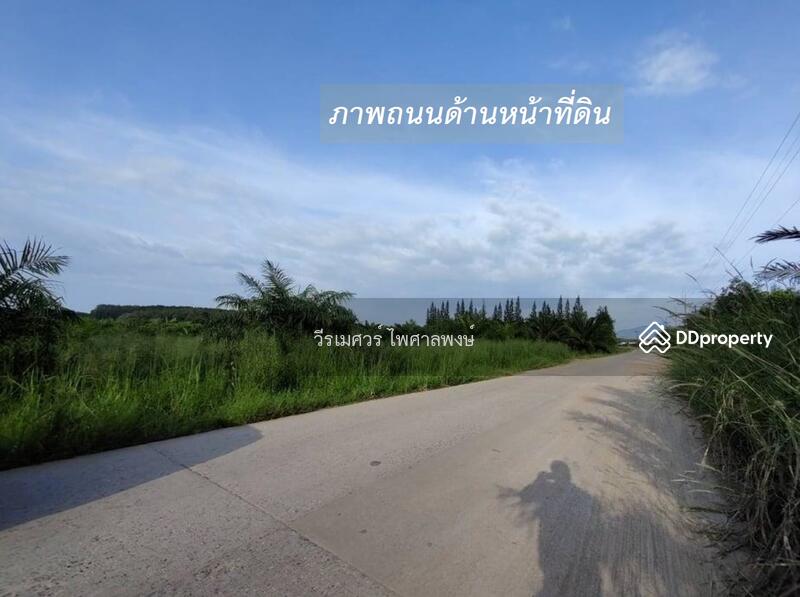 ขายที่ดิน EEC สร้างคลังสินค้าและโกดัง—ถนน 3574 จ.ระยอง (ใกล้ นิคมอีสเทิร์นซีบอร์ด) 81-2-57.3 ไร่ 