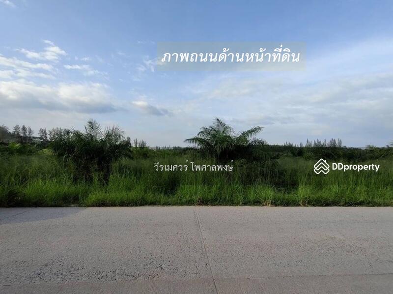 ขายที่ดิน EEC สร้างคลังสินค้าและโกดัง—ถนน 3574 จ.ระยอง (ใกล้ นิคมอีสเทิร์นซีบอร์ด) 81-2-57.3 ไร่ 