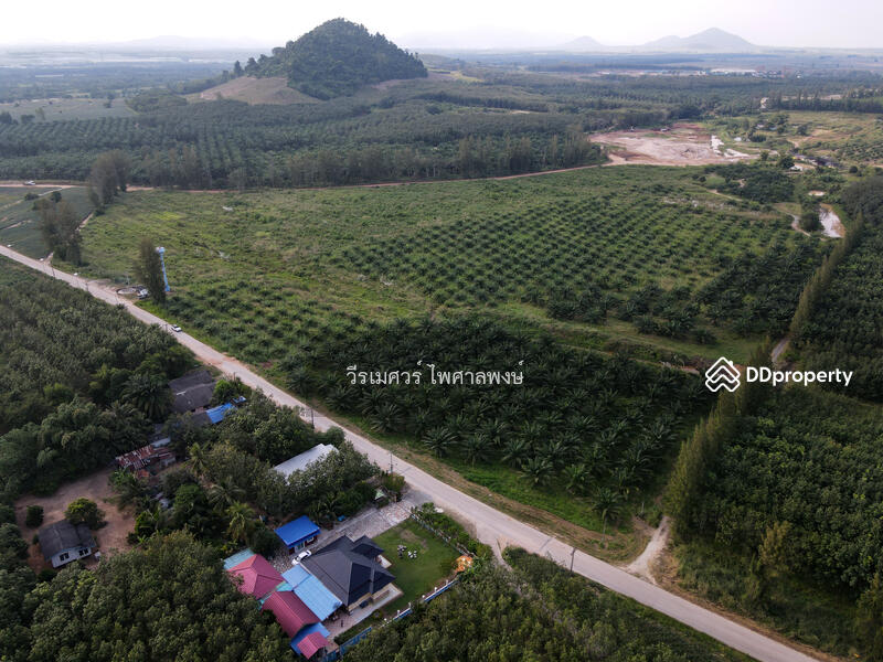 ขายที่ดิน EEC สร้างคลังสินค้าและโกดัง—ถนน 3574 จ.ระยอง (ใกล้ นิคมอีสเทิร์นซีบอร์ด) 81-2-57.3 ไร่ 