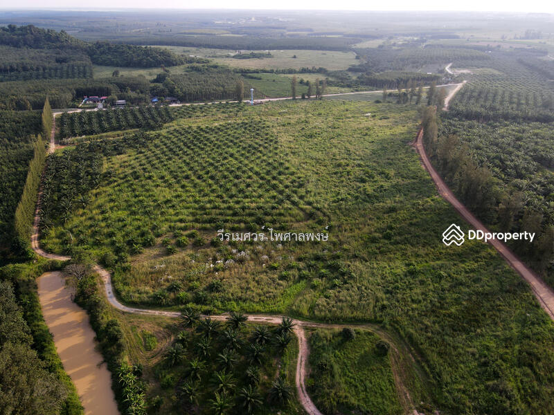 ขายที่ดิน EEC สร้างคลังสินค้าและโกดัง—ถนน 3574 จ.ระยอง (ใกล้ นิคมอีสเทิร์นซีบอร์ด) 81-2-57.3 ไร่ 