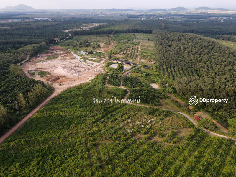 ขายที่ดิน EEC สร้างคลังสินค้าและโกดัง—ถนน 3574 จ.ระยอง (ใกล้ นิคมอีสเทิร์นซีบอร์ด) 81-2-57.3 ไร่ 