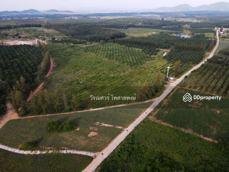 ขายที่ดิน EEC สร้างคลังสินค้าและโกดัง—ถนน 3574 จ.ระยอง (ใกล้ นิคมอีสเทิร์นซีบอร์ด) 81-2-57.3 ไร่ 