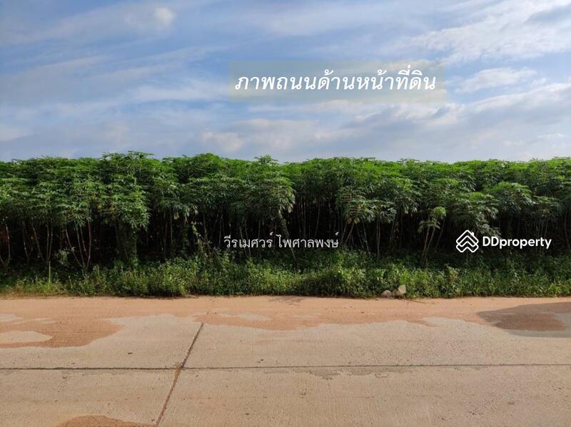 ขายที่ดิน EEC สร้างคลังสินค้าและโกดัง—ถนน 3574 จ.ระยอง (ใกล้ นิคมอีสเทิร์นซีบอร์ด) 103-0-39 ไร่