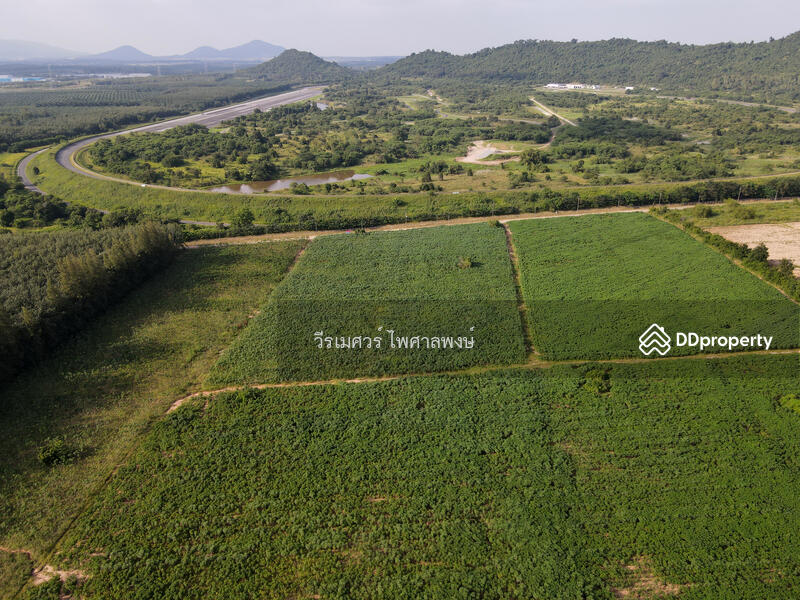 ขายที่ดิน EEC สร้างคลังสินค้าและโกดัง—ถนน 3574 จ.ระยอง (ใกล้ นิคมอีสเทิร์นซีบอร์ด) 103-0-39 ไร่