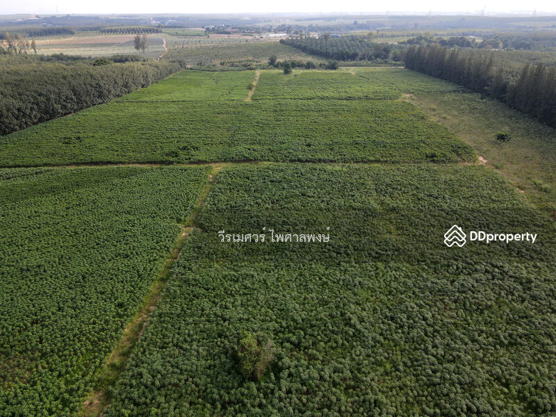 ขายที่ดิน EEC สร้างคลังสินค้าและโกดัง—ถนน 3574 จ.ระยอง (ใกล้ นิคมอีสเทิร์นซีบอร์ด) 103-0-39 ไร่ 