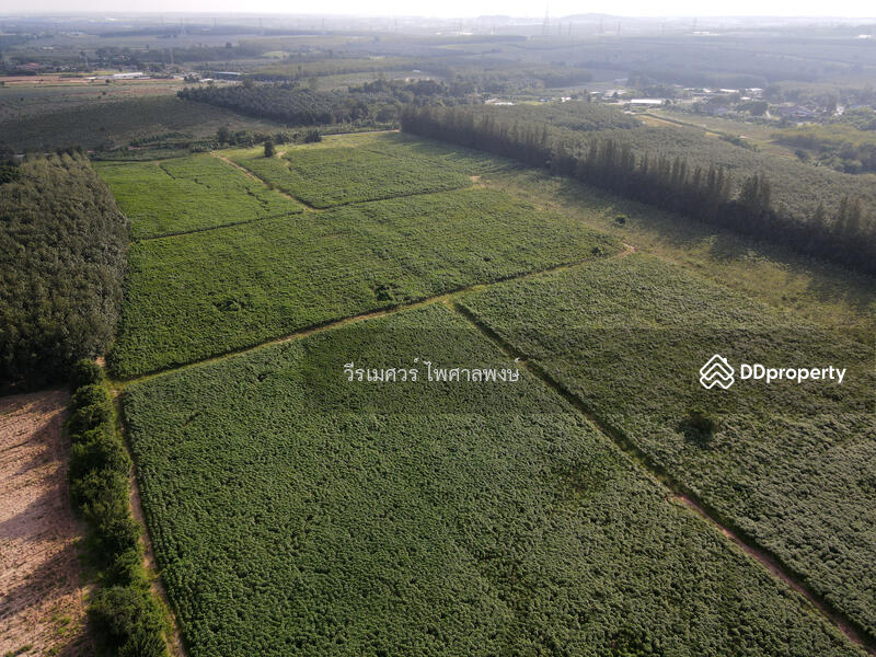 ขายที่ดิน EEC สร้างคลังสินค้าและโกดัง—ถนน 3574 จ.ระยอง (ใกล้ นิคมอีสเทิร์นซีบอร์ด) 103-0-39 ไร่