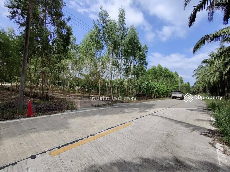 ขายที่ดิน EEC สร้างคลังสินค้าและโกดัง—ถนน 344 จ.ชลบุรี (ใกล้นิคมหลายแห่ง) 63-1-71 ไร่ 