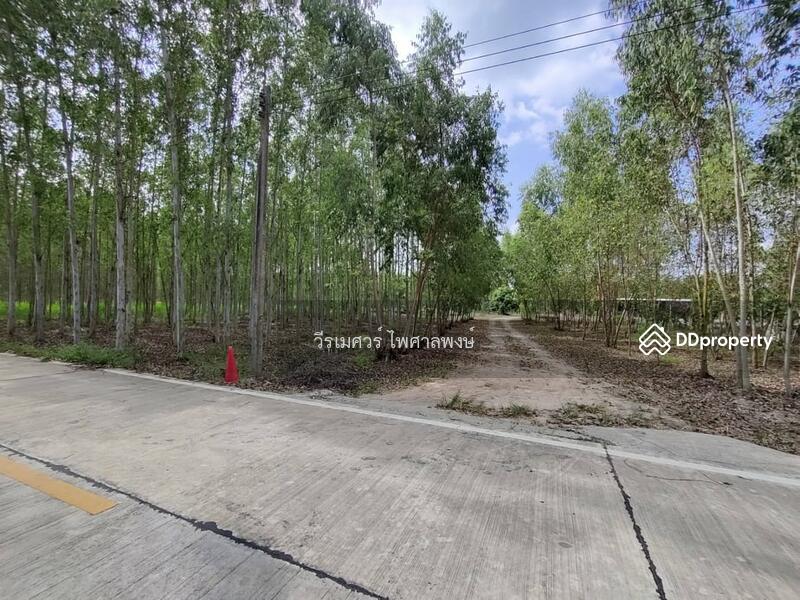 ขายที่ดิน EEC สร้างคลังสินค้าและโกดัง—ถนน 344 จ.ชลบุรี (ใกล้นิคมหลายแห่ง) 63-1-71 ไร่ 