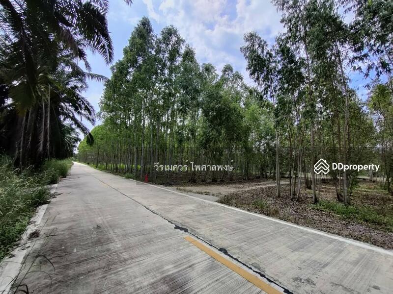 ขายที่ดิน EEC สร้างคลังสินค้าและโกดัง—ถนน 344 จ.ชลบุรี (ใกล้นิคมหลายแห่ง) 63-1-71 ไร่ 