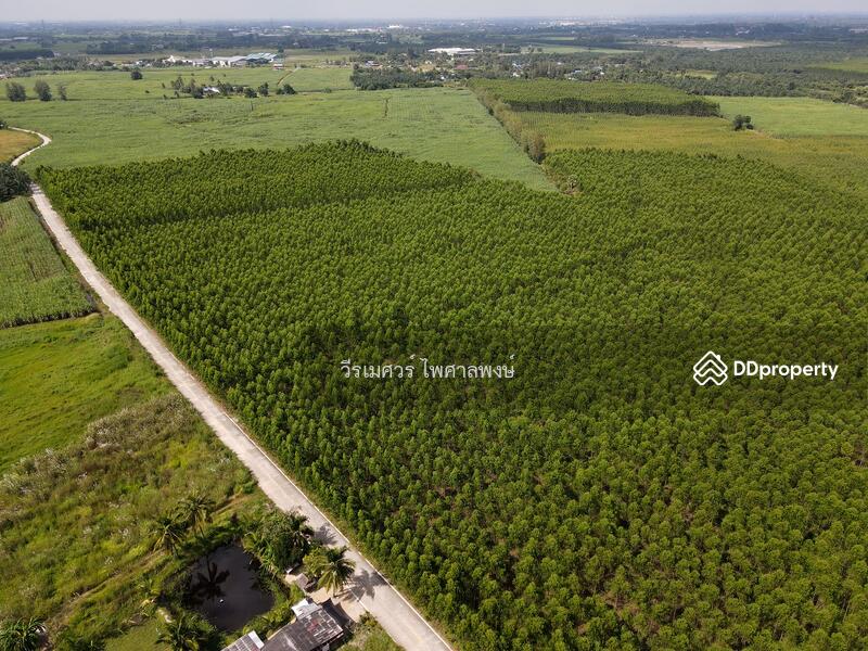 ขายที่ดิน EEC สร้างคลังสินค้าและโกดัง—ถนน 344 จ.ชลบุรี (ใกล้นิคมหลายแห่ง) 63-1-71 ไร่ 