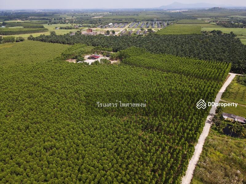 ขายที่ดิน EEC สร้างคลังสินค้าและโกดัง—ถนน 344 จ.ชลบุรี (ใกล้นิคมหลายแห่ง) 63-1-71 ไร่ 