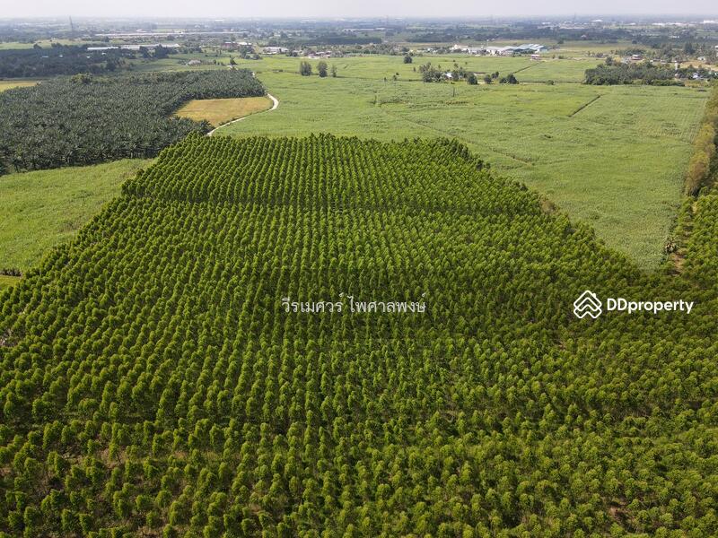 ขายที่ดิน EEC สร้างคลังสินค้าและโกดัง—ถนน 344 จ.ชลบุรี (ใกล้นิคมหลายแห่ง) 63-1-71 ไร่ 