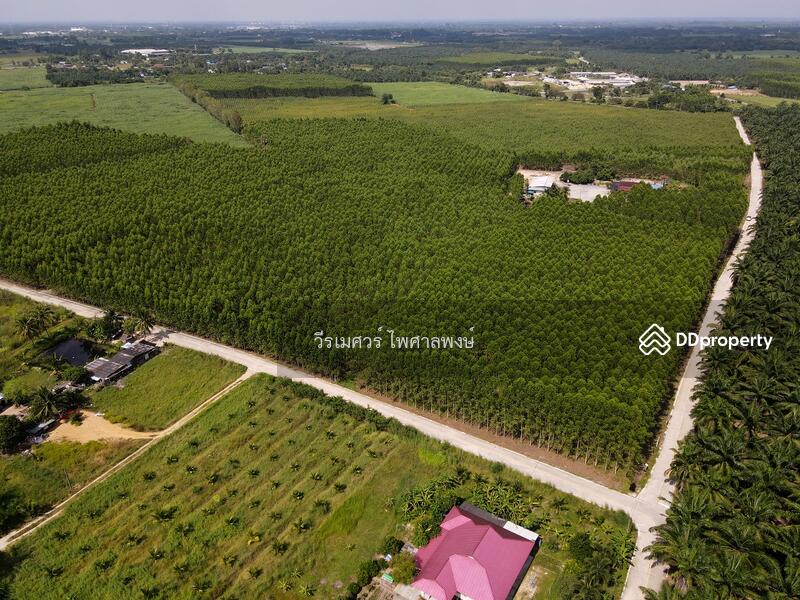 ขายที่ดิน EEC สร้างคลังสินค้าและโกดัง—ถนน 344 จ.ชลบุรี (ใกล้นิคมหลายแห่ง) 63-1-71 ไร่ 