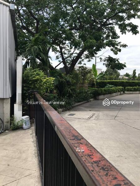 ขายถูก โกดัง-พร้อมสำนักงาน #5 ชั้น เลียบด่วนเอกมัย-รามอินทรา (ติด Central EastVille) 314 ตร.ว. 