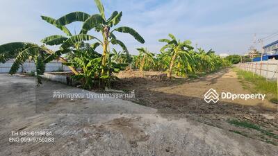 ขาย - ขายที่ดิน ใกล้ถนนกาญจนา บรมราชชนนี ตลิ่งชัน, กรุงเทพ