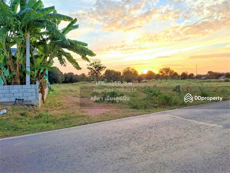 For Sale - ที่ดิน ตำบลเสมา อำเภอสูงเนิน จังหวัดนครราชสีมา, Nakhon Ratchasima