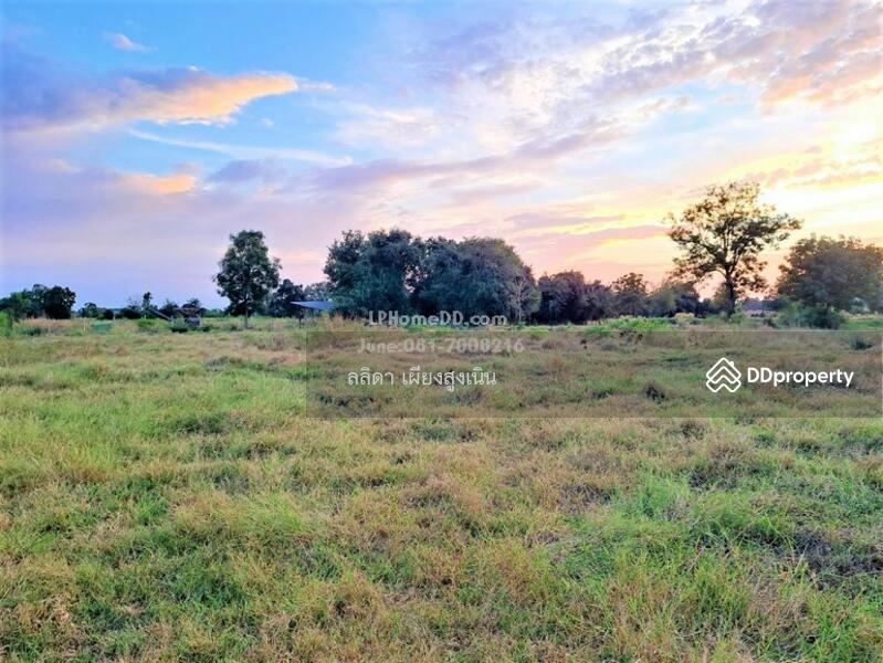 For Sale - ที่ดิน ตำบลเสมา อำเภอสูงเนิน จังหวัดนครราชสีมา, Nakhon Ratchasima
