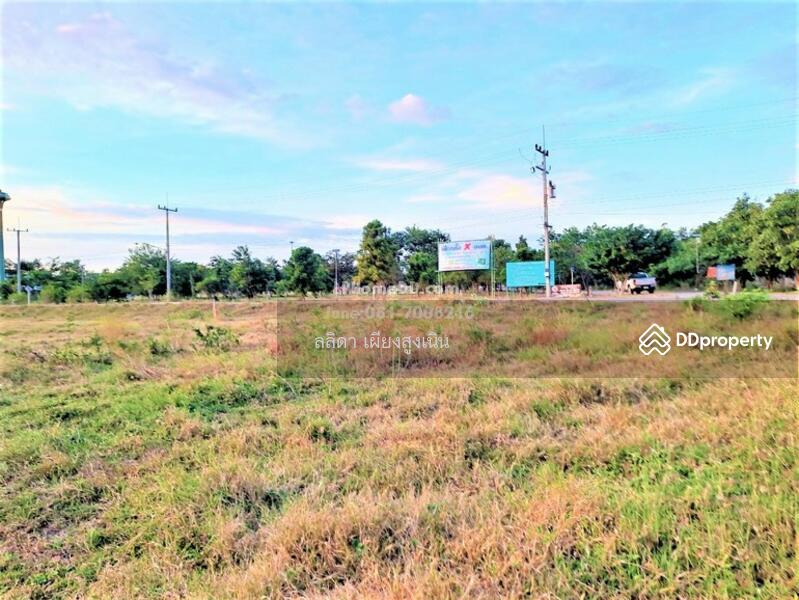 For Sale - ที่ดิน ตำบลเสมา อำเภอสูงเนิน จังหวัดนครราชสีมา, Nakhon Ratchasima