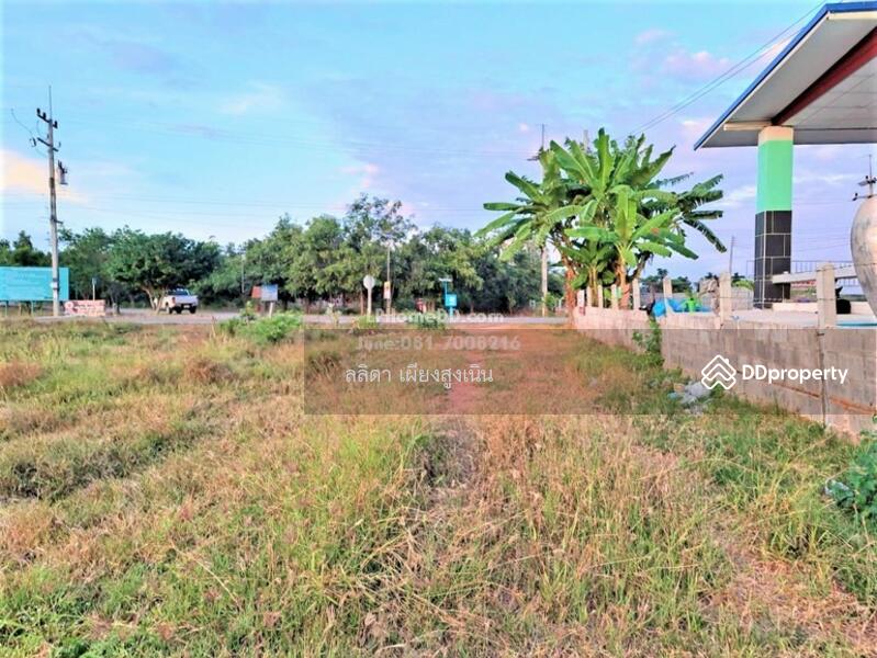 For Sale - ที่ดิน ตำบลเสมา อำเภอสูงเนิน จังหวัดนครราชสีมา, Nakhon Ratchasima