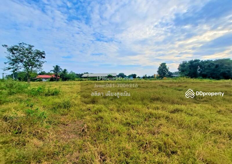 For Sale - ที่ดิน ตำบลเสมา อำเภอสูงเนิน จังหวัดนครราชสีมา, Nakhon Ratchasima