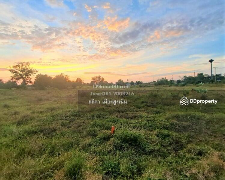 For Sale - ที่ดิน ตำบลเสมา อำเภอสูงเนิน จังหวัดนครราชสีมา, Nakhon Ratchasima
