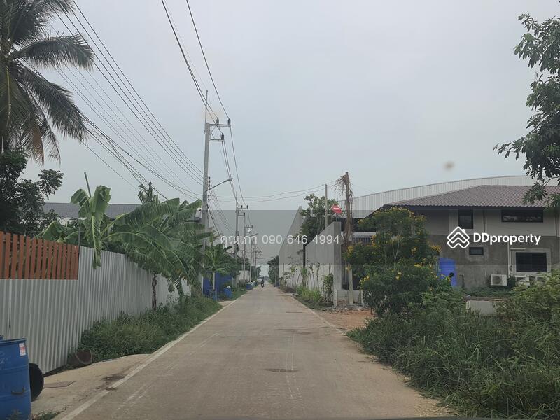 ขาย - ที่ดินเปล่า, ปทุมธานี