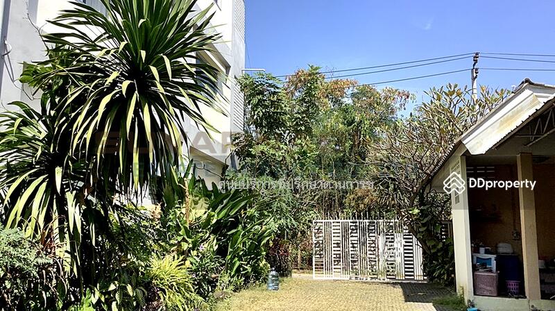 For Sale - For sale, 3-story apartment, 264 square wah, with detached house, swimming pool, Bearing, Samrong, Samut Prakan