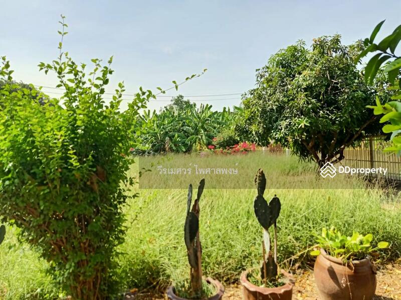 ขาย บ้าน – พร้อม ที่ดินผืนใหญ่ หมู่บ้านนักกีฬาแหลมทอง 40 บนเนื้อที่ 2-0-85 ไร่ ตัวอาคาร 615 ตร.ม.