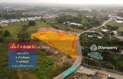 ขาย - ขาย ที่ดิน ศรีราชา ถนน 3009 (ถนนย่อย ถนน หนองสะเดา) จ.ชลบุรี 4-0-99 ไร่, ชลบุรี