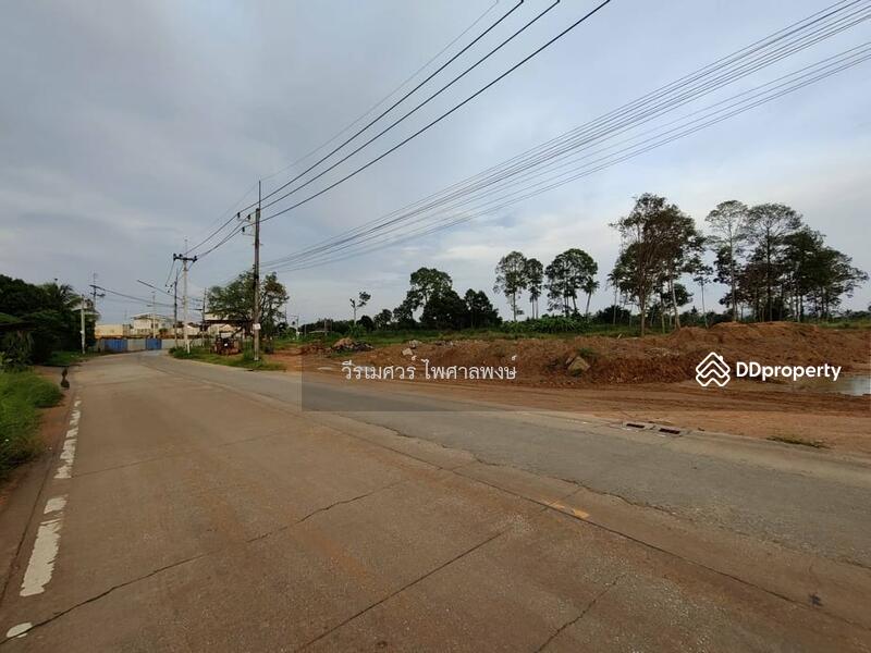 ขายที่ดิน ศรีราชา—ถนน 3009 (ถนนย่อย ถนน หนองสะเดา) จ.ชลบุรี 4-0-99 ไร่ 
