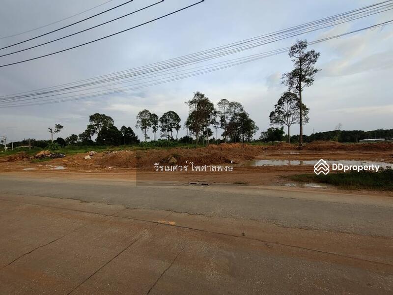 ขายที่ดิน ศรีราชา—ถนน 3009 (ถนนย่อย ถนน หนองสะเดา) จ.ชลบุรี 4-0-99 ไร่