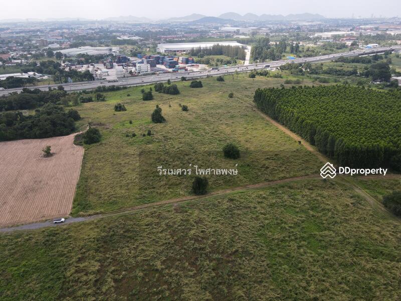 ขายที่ดิน ศรีราชา—ถนนชุมชนหนองปรือ จ.ชลบุรี 12-0-15.1 ไร่ (ใกล้ นิคมอุตสาหกรรมปิ่นทอง 1 และ 2) 