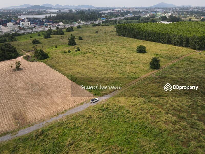 ขายที่ดิน ศรีราชา—ถนนชุมชนหนองปรือ จ.ชลบุรี 12-0-15.1 ไร่ (ใกล้ นิคมอุตสาหกรรมปิ่นทอง 1 และ 2) 