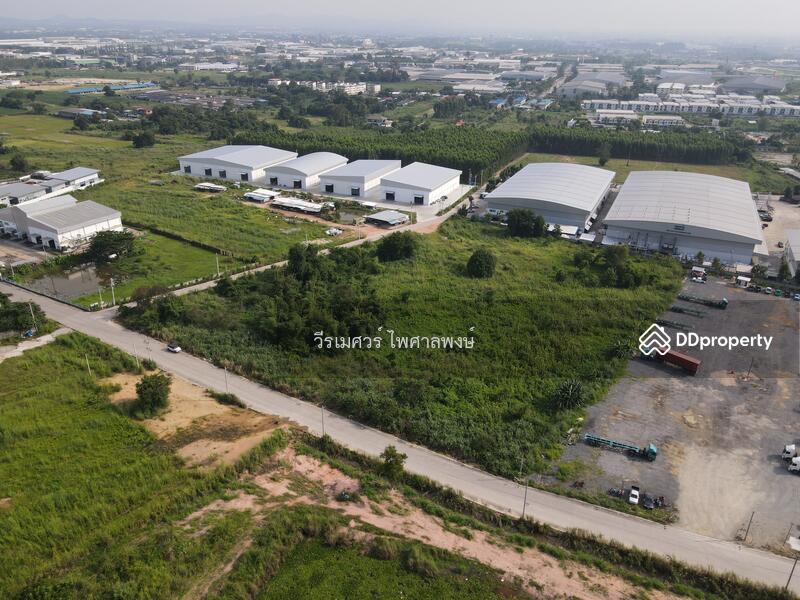 ขายที่ดิน ศรีราชา—ถนนหนองยายบู่-ท่อน้ำ จ.ชลบุรี 14-1-10 ไร่ (ใกล้ นิคมอุตสาหกรรมปิ่นทอง 1 และ 2) 