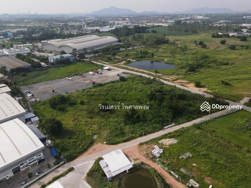 ขายที่ดิน ศรีราชา—ถนนหนองยายบู่-ท่อน้ำ จ.ชลบุรี 14-1-10 ไร่ (ใกล้ นิคมอุตสาหกรรมปิ่นทอง 1 และ 2)