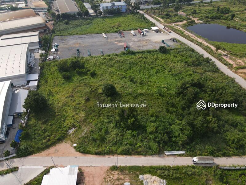 ขายที่ดิน ศรีราชา—ถนนหนองยายบู่-ท่อน้ำ จ.ชลบุรี 14-1-10 ไร่ (ใกล้ นิคมอุตสาหกรรมปิ่นทอง 1 และ 2)