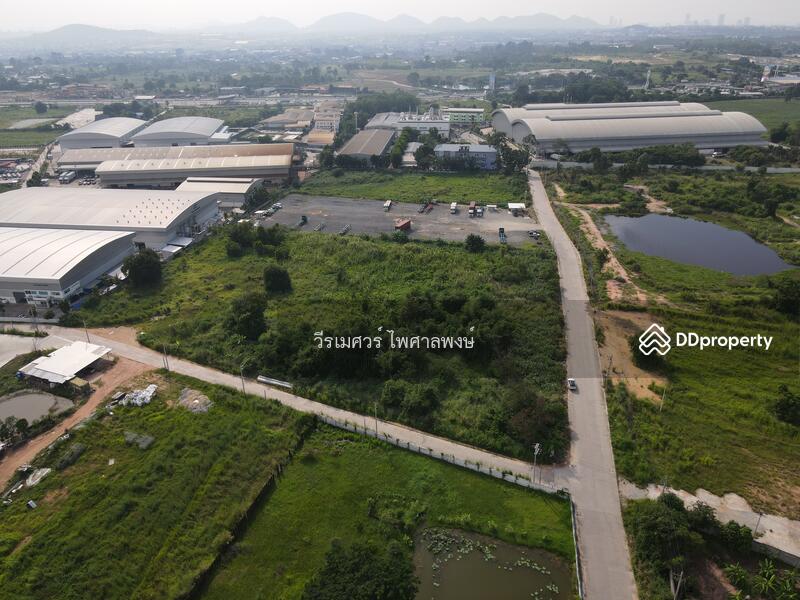 ขายที่ดิน ศรีราชา—ถนนหนองยายบู่-ท่อน้ำ จ.ชลบุรี 14-1-10 ไร่ (ใกล้ นิคมอุตสาหกรรมปิ่นทอง 1 และ 2)