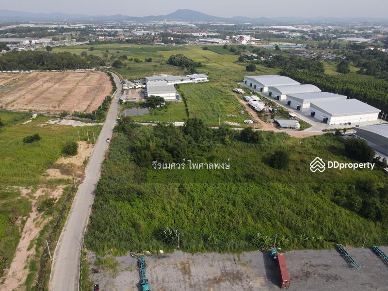 ขายที่ดิน ศรีราชา—ถนนหนองยายบู่-ท่อน้ำ จ.ชลบุรี 14-1-10 ไร่ (ใกล้ นิคมอุตสาหกรรมปิ่นทอง 1 และ 2) 