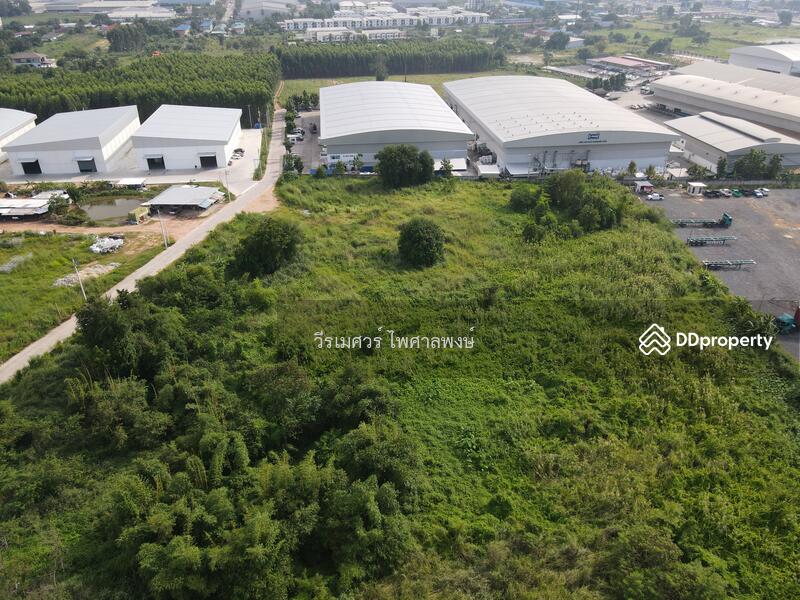 ขายที่ดิน ศรีราชา—ถนนหนองยายบู่-ท่อน้ำ จ.ชลบุรี 14-1-10 ไร่ (ใกล้ นิคมอุตสาหกรรมปิ่นทอง 1 และ 2) 