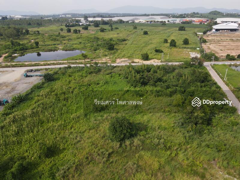 ขายที่ดิน ศรีราชา—ถนนหนองยายบู่-ท่อน้ำ จ.ชลบุรี 14-1-10 ไร่ (ใกล้ นิคมอุตสาหกรรมปิ่นทอง 1 และ 2)